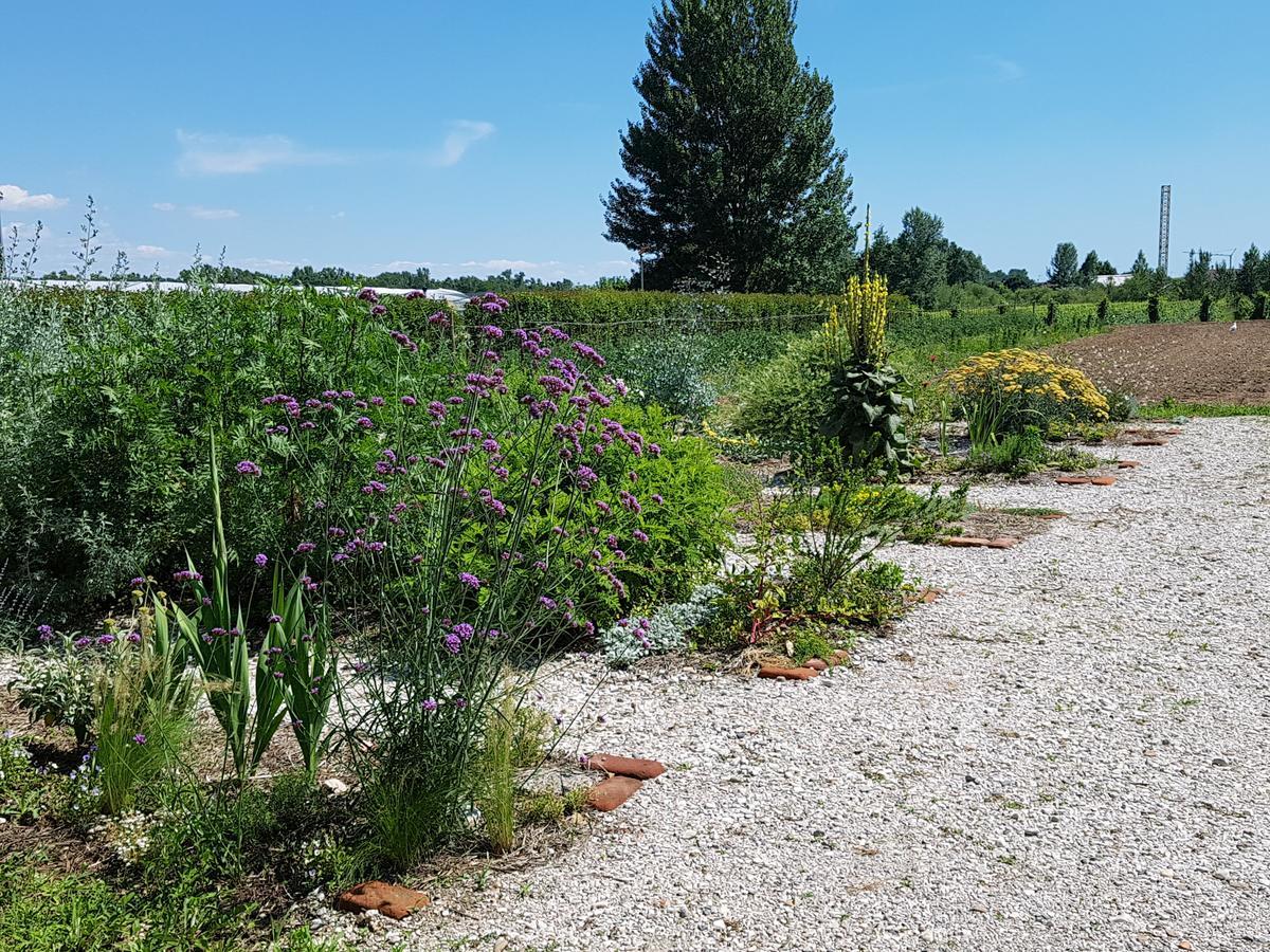 Agriturismo Frascje Dai Spadons Villa Pradamano Esterno foto